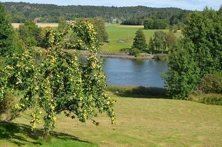 Aelvbacken Hotel Vasterlanda Luaran gambar